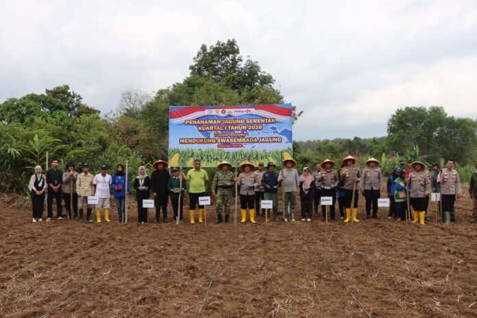 Dukung Ketahanan Pangan, Polres Bengkulu Utara Ikuti Tanam Raya Jagung