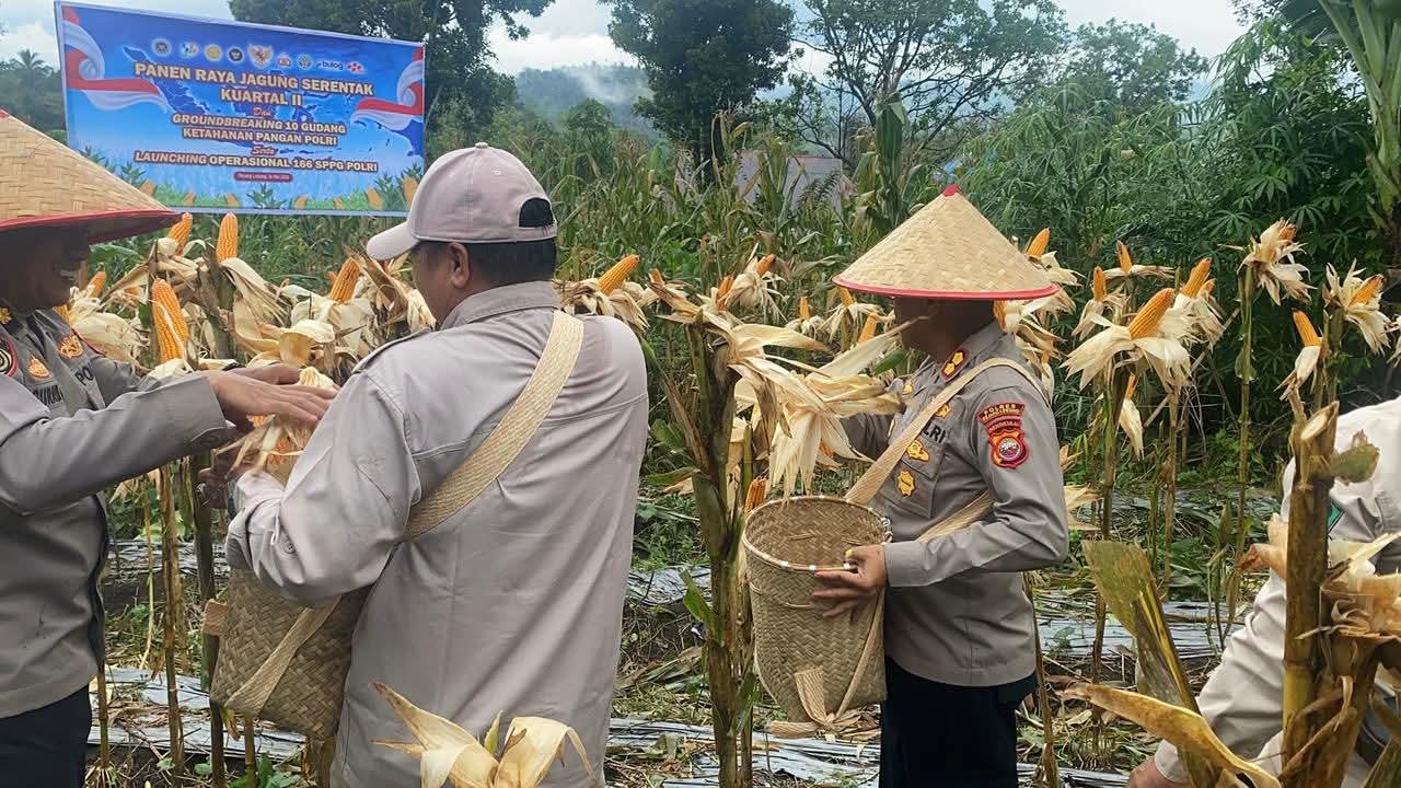 Dukung Swasembada Pangan, Polres Rejang Lebong Ikuti Panen Raya Jagung