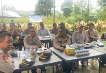 Dukung Swasembada Pangan, Polres Rejang Lebong Ikuti Panen Raya Jagung Dukung Swasembada Pangan, Polres Rejang Lebong Ikuti Panen Raya Jagung