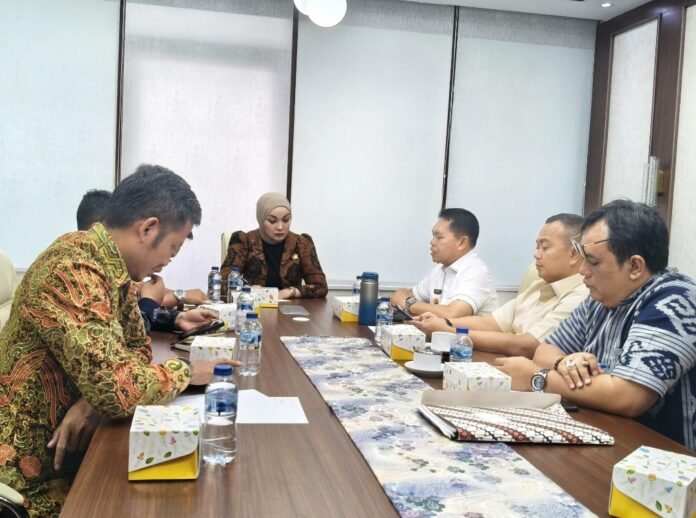 Bupati Lebong Audiensi dengan Komisi V DPR RI, Bahas Dukungan Infrastruktur Daerah