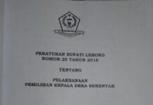Pilkades Lebong Memanas: Cakades Mundur, Pasal Sanksi Berubah? Pilkades Lebong Memanas: Cakades Mundur, Pasal Sanksi Berubah?